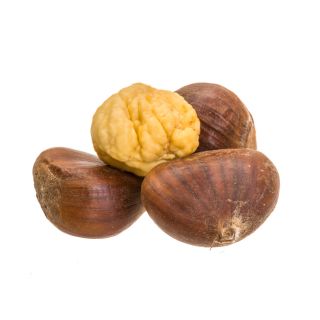 Estratto di Ippocastano 