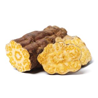 Estratto di Polygonum Cuspidatum